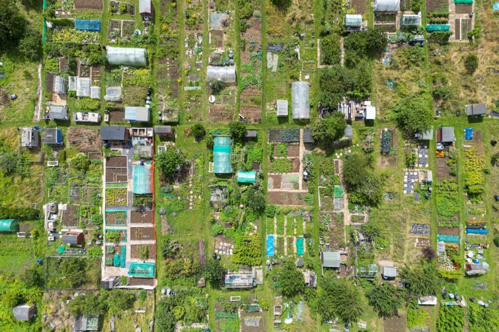 Residential plots for sale|https://digitalroutrr.in/